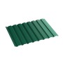 6005