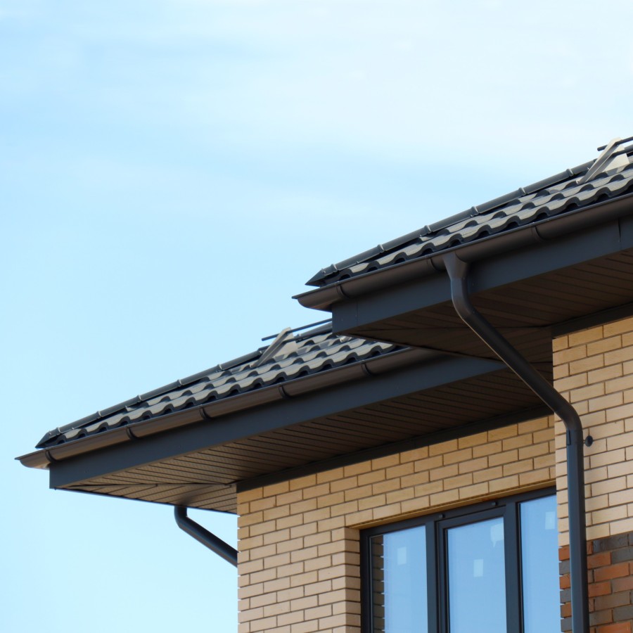 IMG_9997_1